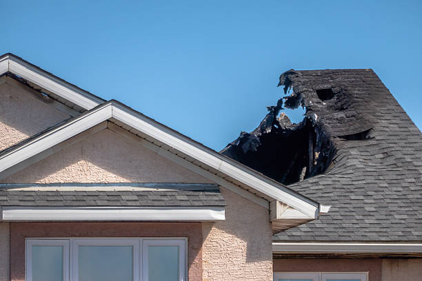 Top rated local Odor Removal specialists in Lithia, FL